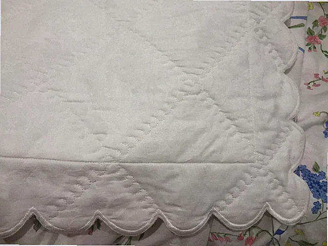 Home Treasures Italy NWD 2pc Standard Shams 100% Cotton Quilted